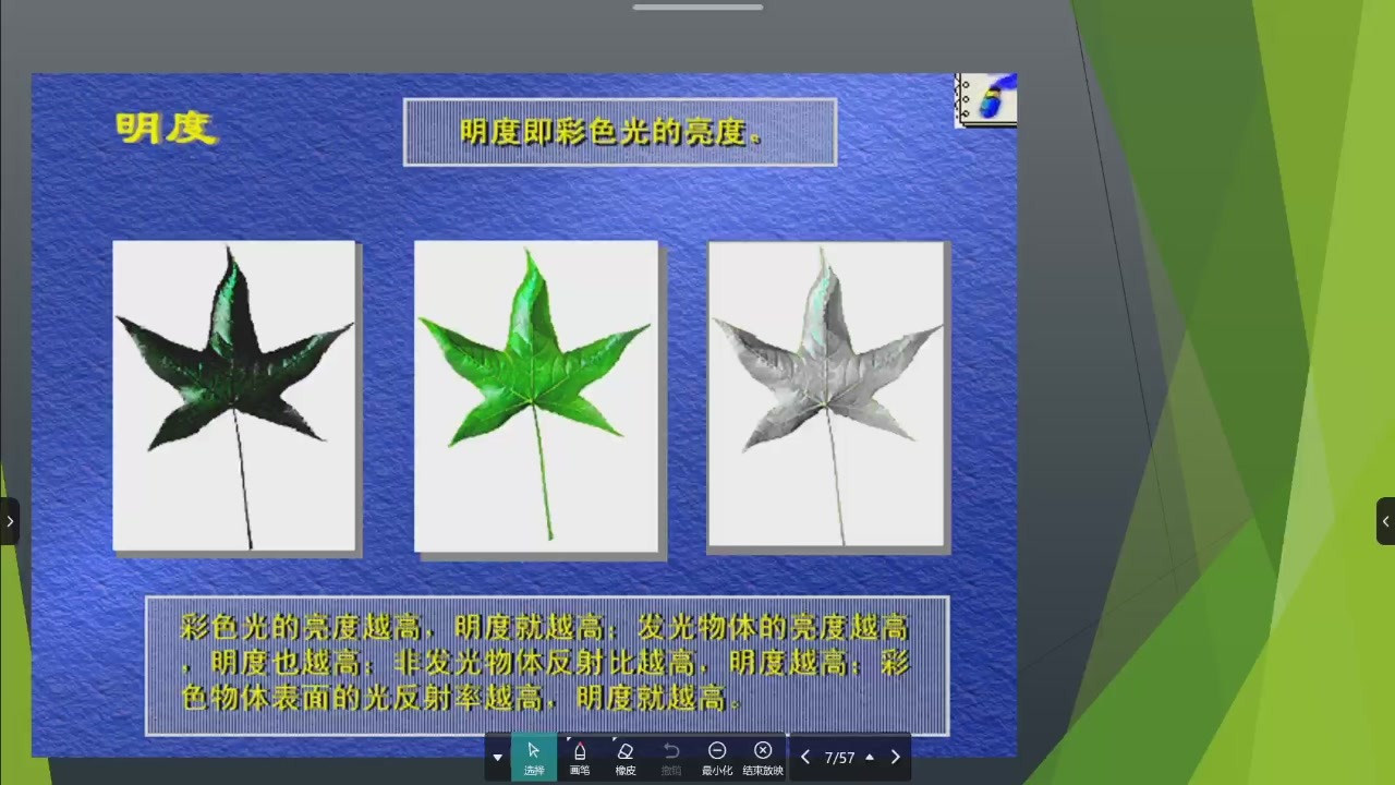枫叶明度变化
