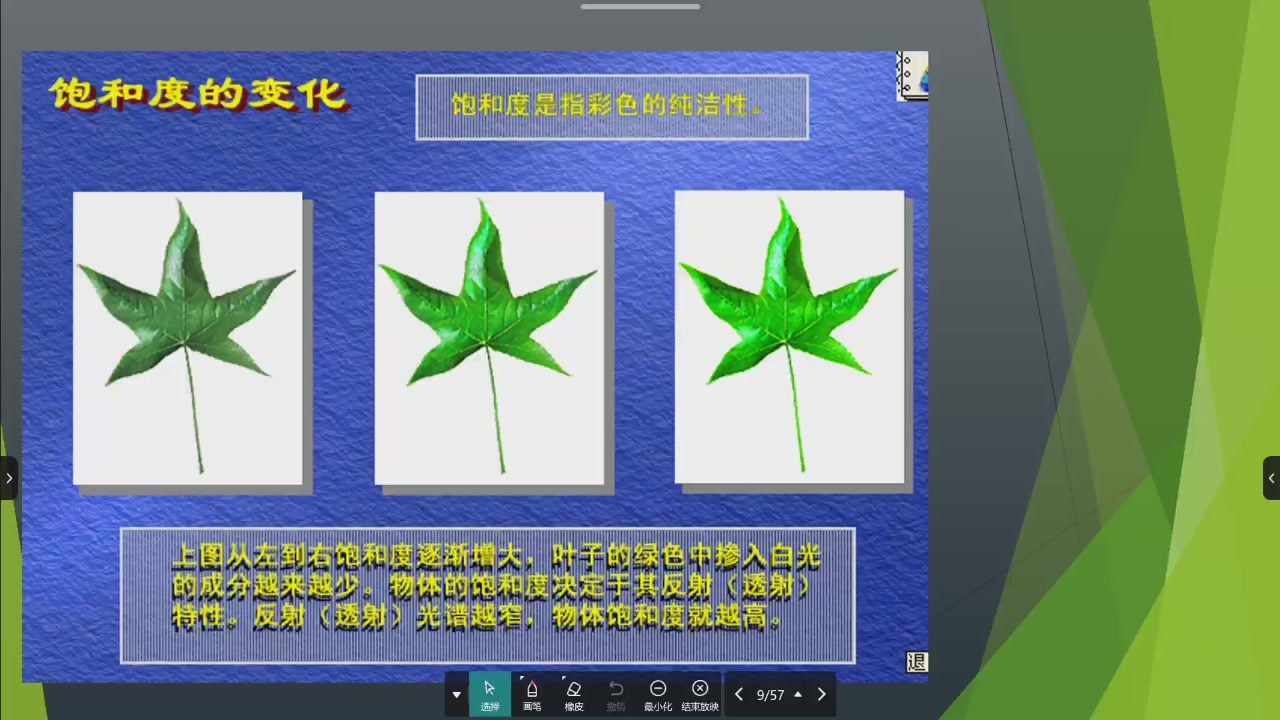 枫叶饱和度变化